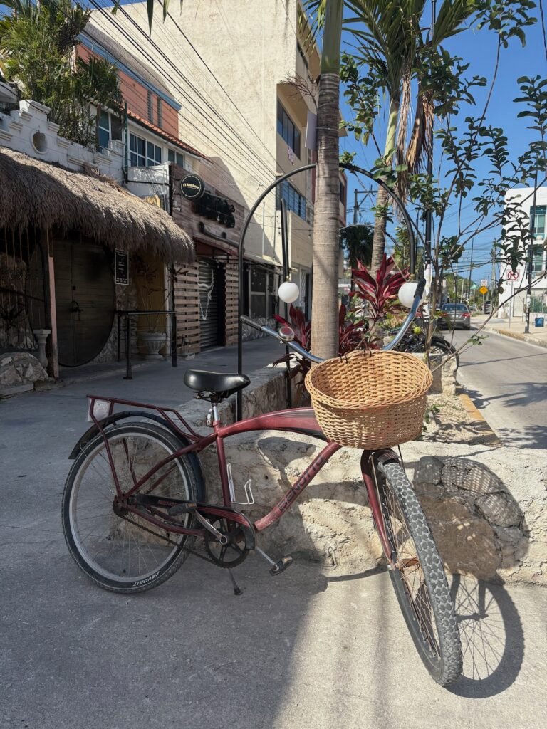 Burgundy Benotto beach cruiser rental bike