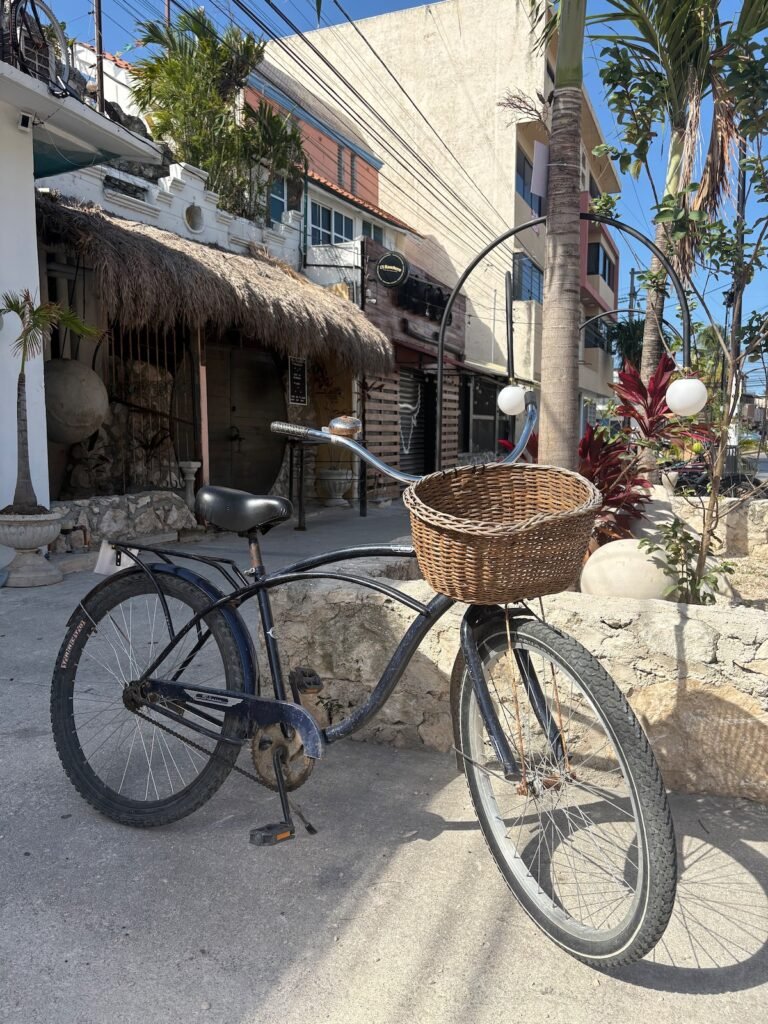 Blue Schwinn beach cruiser rental bike